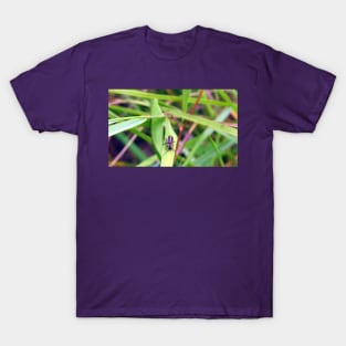 Firefly No.1 T-Shirt